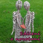 Thumb-Novoluni